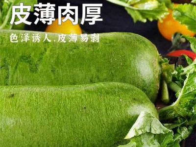 正宗水果沙窝萝卜图3
