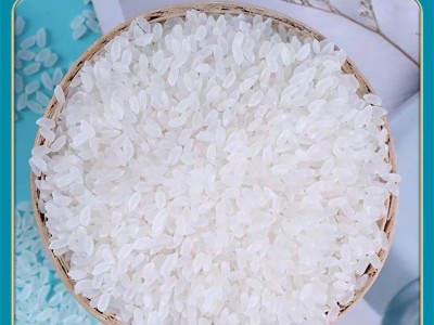 小站稻大米（10斤）图4