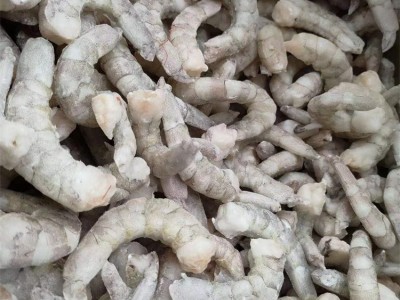 野生对虾图4