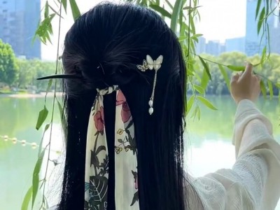战国炮发簪图2