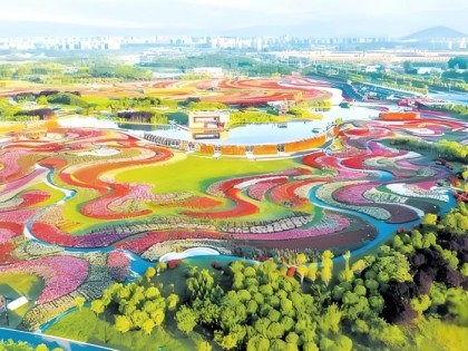 音乐盛宴、武林争霸，第二届世界月季博览会在南阳玩出新花样，五一游南阳最全攻略来咯